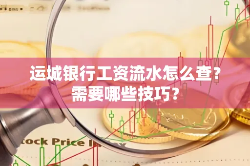 运城银行工资流水怎么查?需要哪些技巧?